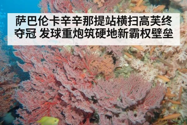 萨巴伦卡辛辛那提站横扫高芙终夺冠 发球重炮筑硬地新霸权壁垒